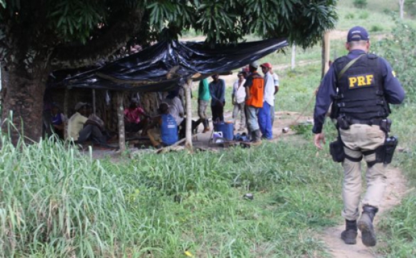 19 pessoas mantidas como escravos são resgatadas de fazenda