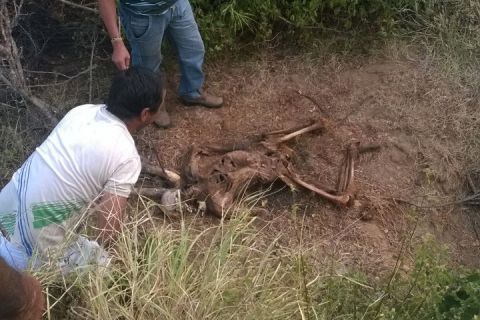 Caculé: Corpo em avançado estado de decomposição é encontrado em terreno baldio