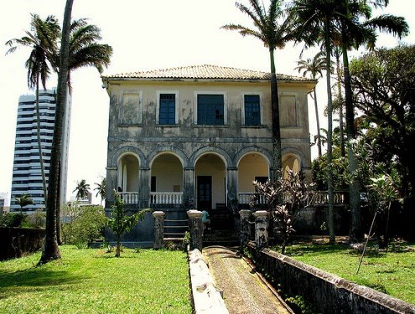 Jiboia é encontrada em ar-condicionado de campus da Ufba, em Salvador