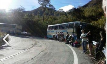 Motorista faz manobra inusitada e para ônibus sem freios da Novo Horizonte em paredão